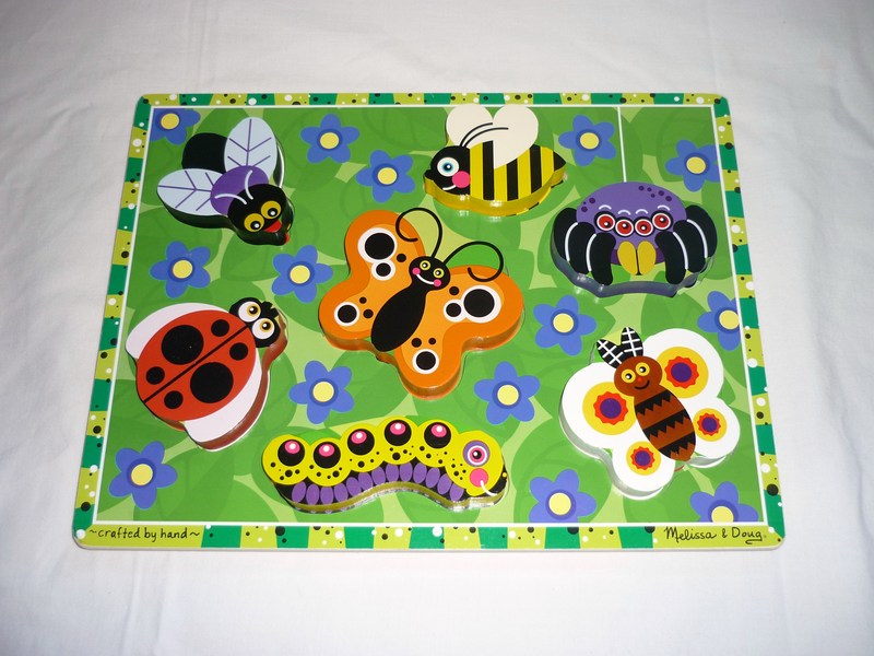 J631: Chunky Puzzle Insects