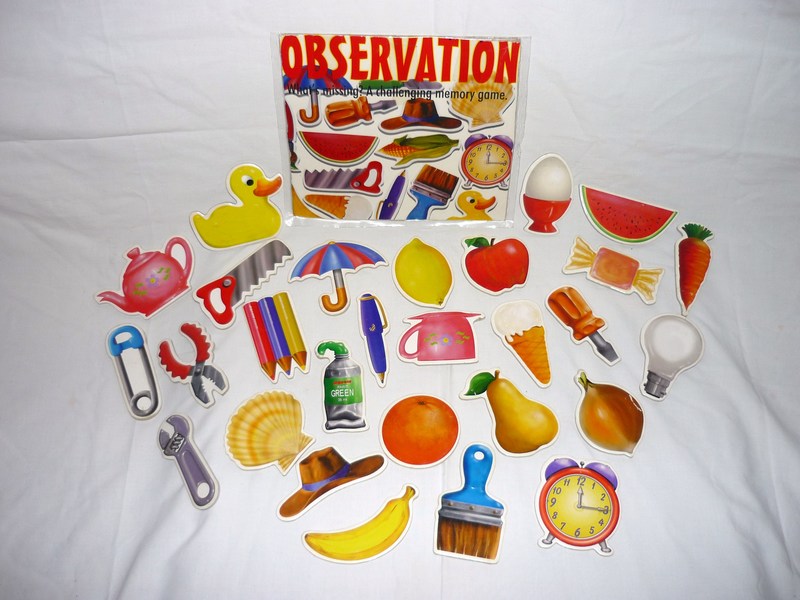 G569: Observation Memory Game