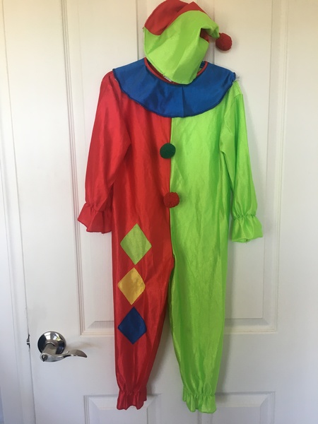 E66: Clown dress up