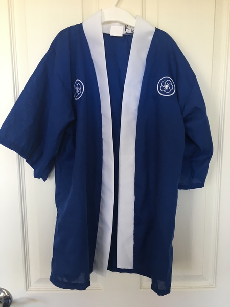 E15: Japanese dress up