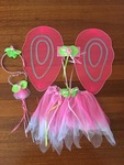 Fairy dress up