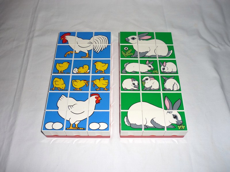 J461: LEGO Puzzle Possibilities