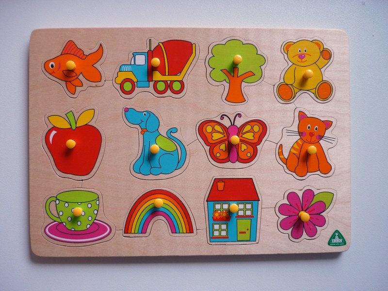 J664: 12 Piece Peg Puzzle