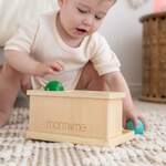 Montessori Push Down Balls