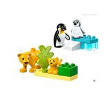 Wild Animal Families Penguins and Lions