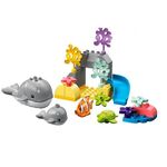 Wild Animals of the Ocean