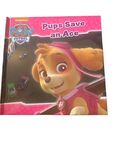 Paw Patrol Pups save an ace