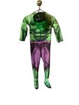 The Hulk Costume