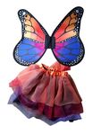 Butterfly costume