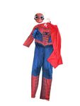 Spiderman costume + mask