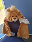 Lion Cape Dress Up