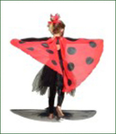 Ladybird Fairy Dress Up
