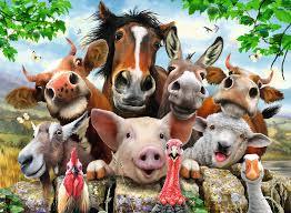 415: Animal Puzzle "Selfies"