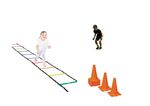 Agility obstacle course pack PC