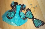 Blue Butterfly Costume
