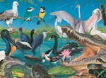 WILD Australia Wetlands & Marshes Puzzle 150 pcs 