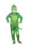 Gecko Costume