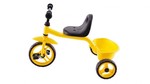 Hape Tricycle PC