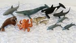 Schleich Sea Life Set