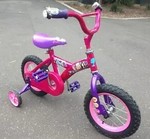 Barbie Bicycle with Training Wheels 