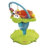 F/P Bounce 'n Spin Froggy