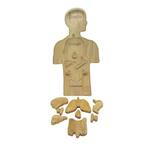 Wooden Anatomy Puzzle PC