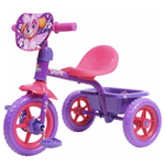 Paw Patrol Ride-On Trike