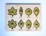 Q Toys Leaf Puzzle ML