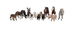 Farm Animals ML