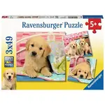PZ202: Ravensburger Cute Puppies (3x49 pcs)