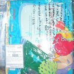 Felt Story - The Little Mermaid