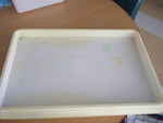 Activity Tray