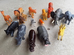 Wild Animal Set