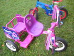 Princess Tandem Trike