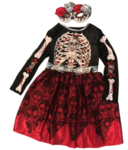 Halloween Dress Costume: SIZE 4-6 years