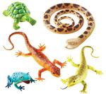 Jumbo Reptiles and Amphibians