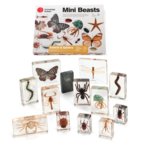 Mini Beasts Arthropods Set