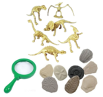 Fossils and skeletons - Paleontology Kit