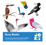 Busy Beaks: a card game about Australia's Birdlife