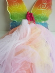 Fairy Wings and Dress