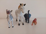 Safari Animals Bundle