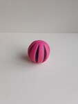 Pink Squeaky Ball