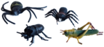 Bugs (and Spiders)