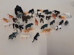 Lots of animals 
