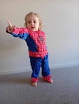 Spiderman Costume