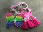 Fairy Costume