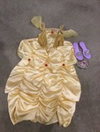 Princess Costume