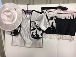 Cow Girl Costume