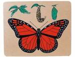 Monarch Butterfly Lifecycle Puzzle