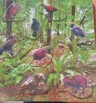 Birds of New Zealand